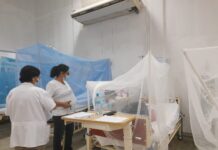 Hospital Santa Rosa logró dar de alta y controlar a más del 52 % de sus pacientes con dengue