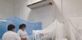 Hospital Santa Rosa logró dar de alta y controlar a más del 52 % de sus pacientes con dengue