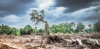 Cambio climático: un monstruo imparable que amenaza a la humanidad