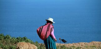 Día del Campesino: Solo 3 de cada 10 agricultores están asegurados