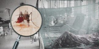 Piura: Más de 100 muertos y casi 50 mil casos de dengue