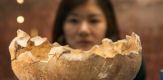 Estudios revelan que ancestros humanos practicaban el canibalismo