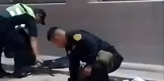 Piura: Policías frustran robo en conocida tienda de electrodomésticos en el centro de La Unión