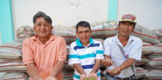 Gobernador califica de histórico primer envío de frijol loctao a Corea del Sur
