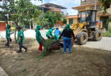 MPP ha recuperado alrededor de 16 parques en la ciudad con la intervención de más de 40 KM en áreas verdes