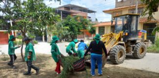 MPP ha recuperado alrededor de 16 parques en la ciudad con la intervención de más de 40 KM en áreas verdes