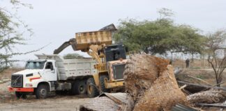 Municipalidad de Piura recupera más de 8 hectáreas de terreno para construcción de relleno sanitario