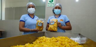 Municipalidad de Piura impulsa la semana regional del chifle
