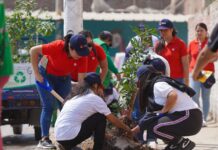 UCV puesto 4 en sostenibilidad ambiental