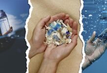 Natura promueve el uso envases de perfumes hechos a base de plástico reciclado de playas