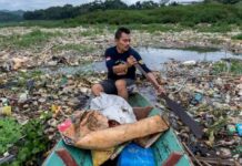 Naciones Unidas: el 40 % de las tierras del planeta están deterioradas