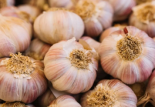 Incremento del precio del ajo preocupa a consumidores y comerciantes