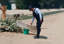 Piura: Vecinos hallan flotando cuerpo de bebé en canal Biaggio Arbulú