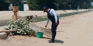 Piura: Vecinos hallan flotando cuerpo de bebé en canal Biaggio Arbulú