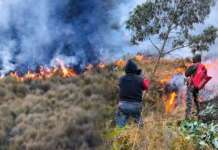 Diez muertos y 49 incendios forestales activos azotan diversas regiones del Perú