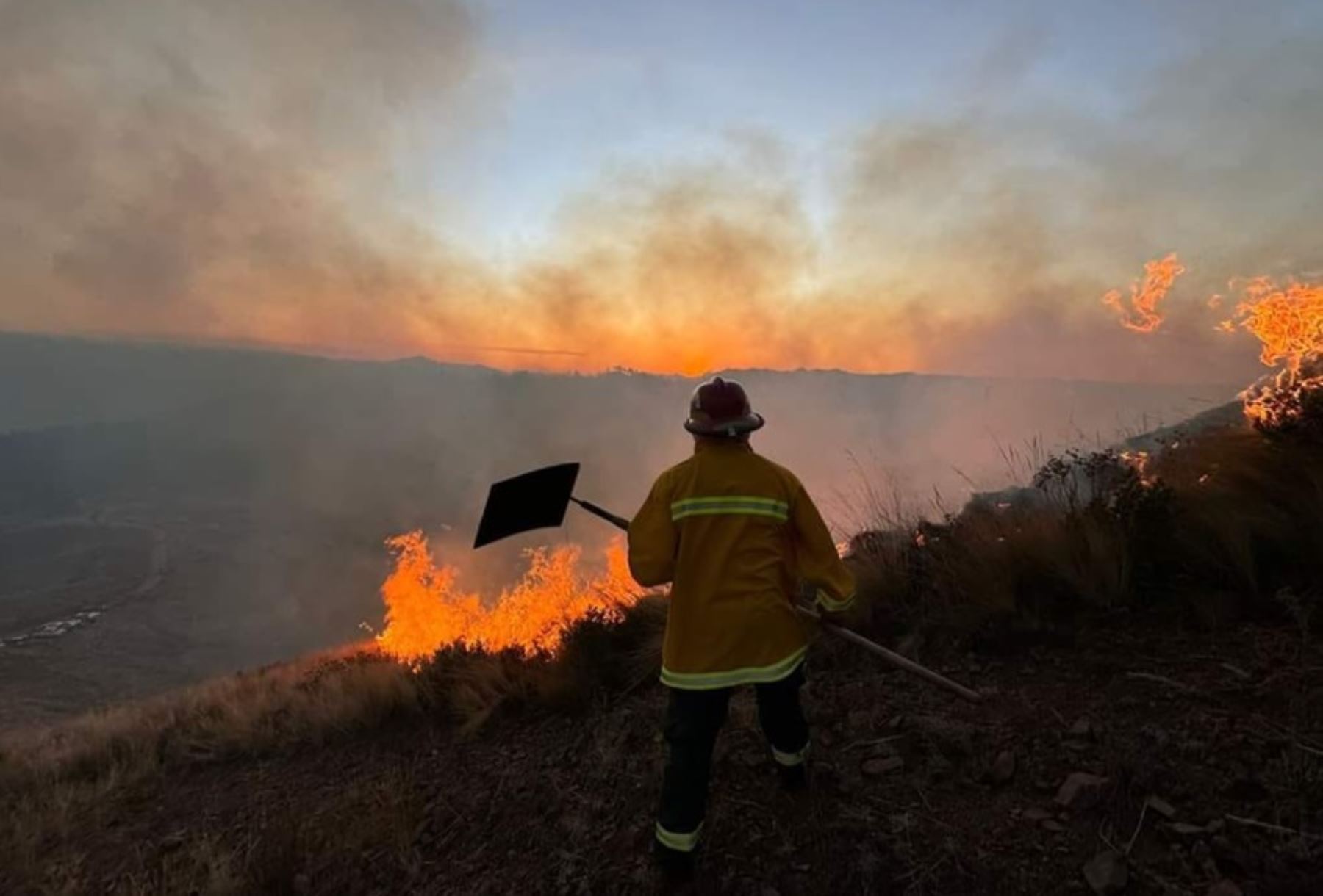 Incendios forestales dejan 15 muertos y 98 heridos a nivel nacional