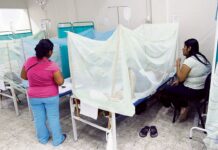 Colegio Médico de Piura pide alerta epidemiológica por incremento de casos de dengue