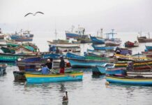 Pescadores y expertos se reúnen en la UDEP para analizar la pesca y el impacto en el Perú a 30 años de la CONVEMAR
