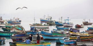 Pescadores y expertos se reúnen en la UDEP para analizar la pesca y el impacto en el Perú a 30 años de la CONVEMAR
