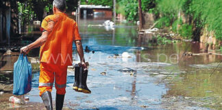 Piura: Alerta por aumento de casos de leptospirosis