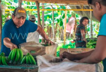 Agricultores en contra de la venta de sus tierras de cultivo