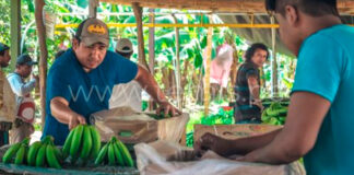 Agricultores en contra de la venta de sus tierras de cultivo