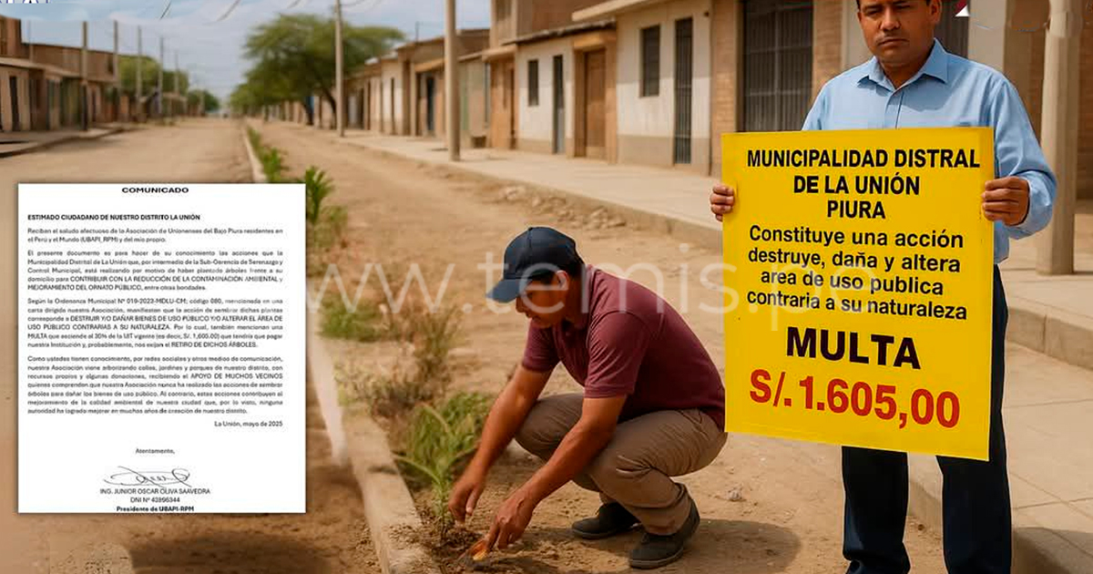 Multan con más de S/ 1,600 a asociación vecinal por sembrar árboles en La Unión