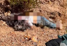 Joven turista fallece tras caer a un barranco en el Valle del Colca