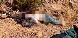 Joven turista fallece tras caer a un barranco en el Valle del Colca