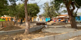 VDO: Vecinos denuncian que obra de construcción de parque ecológico destruye áreas verdes