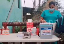 Activan vigilancia sanitaria en frontera de Tumbes por alerta de influenza K H3N2