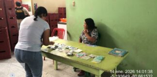 Piura: PNP detiene a presuntos integrantes de “Los Terribles de la Amotape” por tráfico de drogas