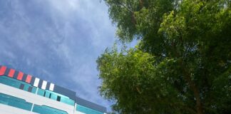 UCV en el Top 3 de mejores universidades del Perú y destaca en uno de los rankings más influyentes del mundo