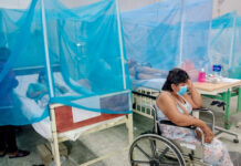 Piura reporta aumento de casos de dengue