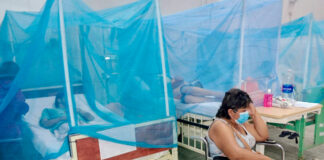 Piura reporta aumento de casos de dengue