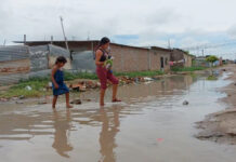 Castilla, Catacaos y Sullana concentran más casos de leptospirosis