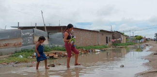 Castilla, Catacaos y Sullana concentran más casos de leptospirosis