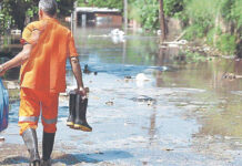 Piura en alerta por aumento de leptospirosis