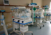 Piura reporta 40 muertes neonatales y enciende alerta en hospitales públicos
