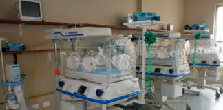 Piura reporta 40 muertes neonatales y enciende alerta en hospitales públicos