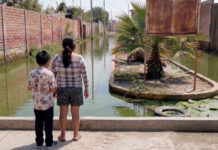 Alerta en Piura: leptospirosis deja cinco fallecidos y preocupa baja vacunación