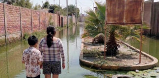 Alerta en Piura: leptospirosis deja cinco fallecidos y preocupa baja vacunación