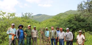 Restauran 50 hectáreas del bosque seco con innovadora técnica de “nodriza forestal”