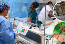 Alarma en la Región Piura por posible emergencia sanitaria ante aumento de Dengue y Leptospirosis