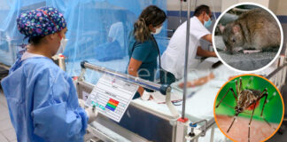 Alarma en la Región Piura por posible emergencia sanitaria ante aumento de Dengue y Leptospirosis