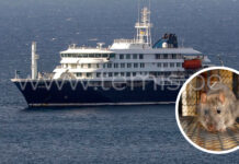 Argentina: Alerta sanitaria en crucero por posible brote de hantavirus