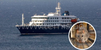Argentina: Alerta sanitaria en crucero por posible brote de hantavirus