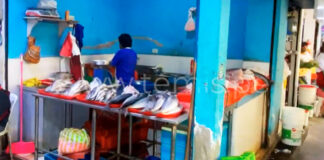 Piura: Aumenta precio de caballa y kilo llega a los 30 soles