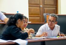 Profesores de Educación capacitan a más de 140 docentes de Ayabaca y Lagunas