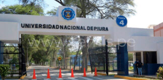 Contraloría detecta profesionales inhabilitados y sin colegiatura en la UNP
